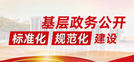 基層政務公開標準化目錄
